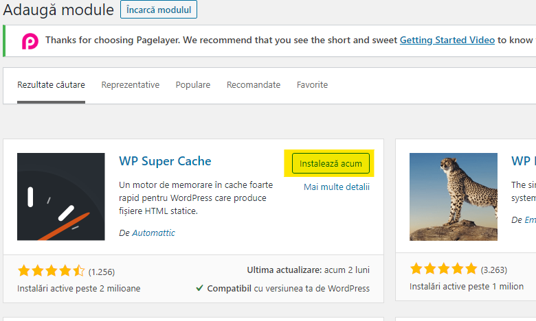 module wordpress